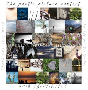 First edition of “The poetic picture contest - Image 1