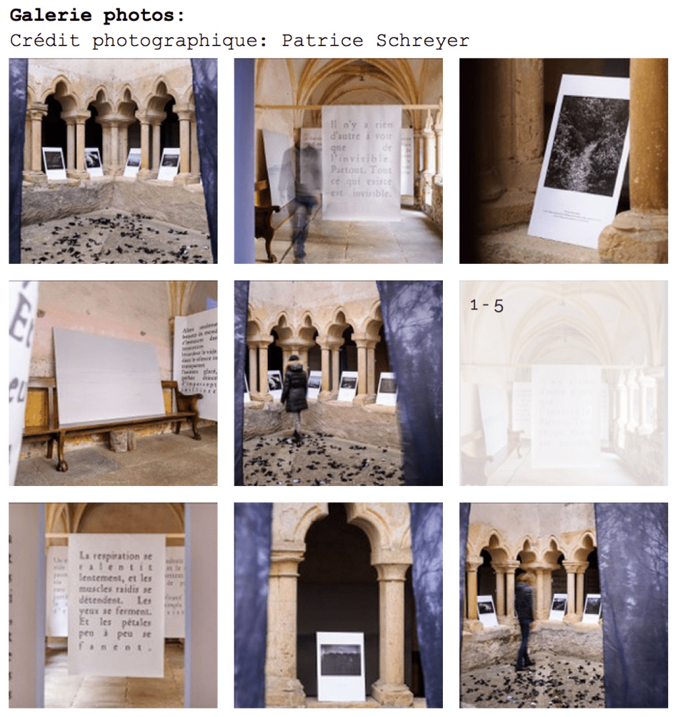 Galerie-photo-exposition-Patrice-Schreyer